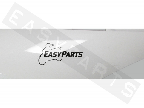 Adesivo Easyparts Nero 100mm 2x